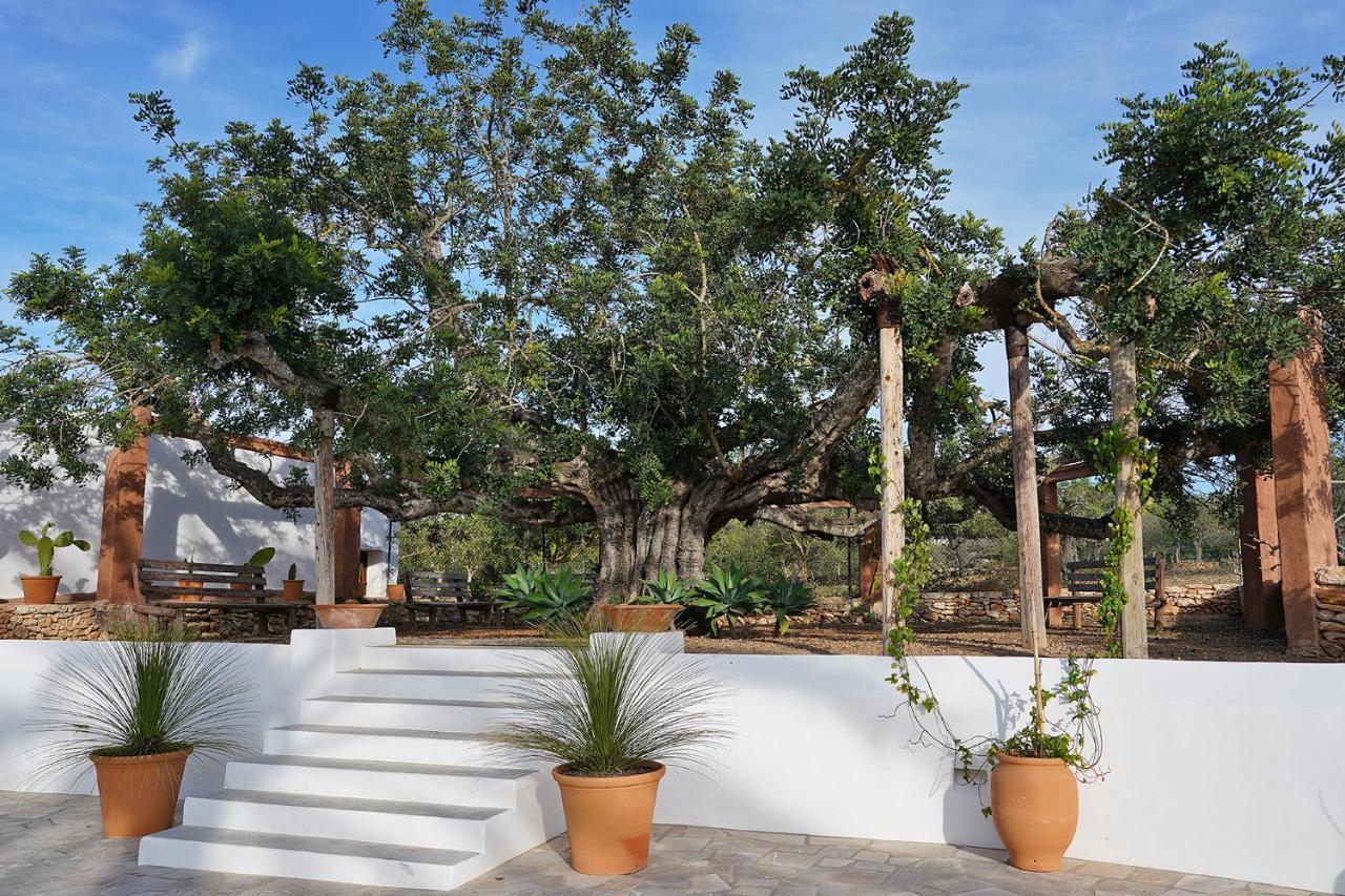 Villa Can Vicent San Antonio  Ngoại thất bức ảnh